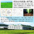 限量特製駿河一盤坊茶葉茶葉120g Kukicha 新茶2023